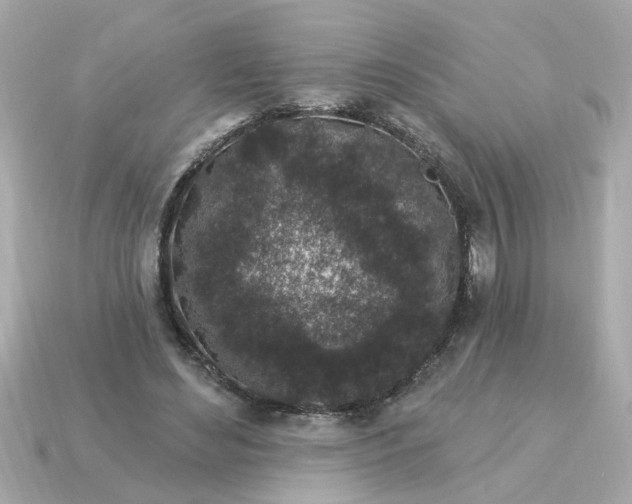 X0000115160492200911101753
