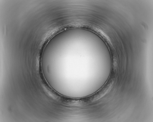 X0000115160493200911101753