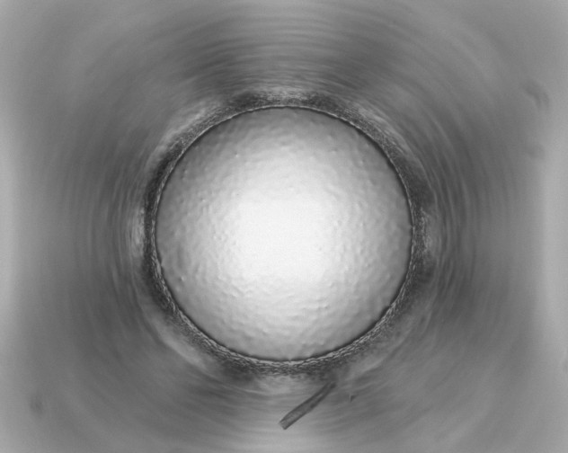 X0000115160494200911101753