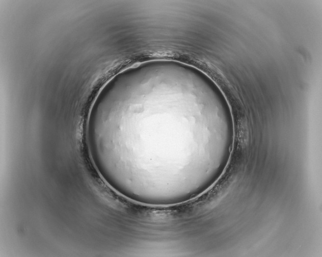 X0000115160495200911101753