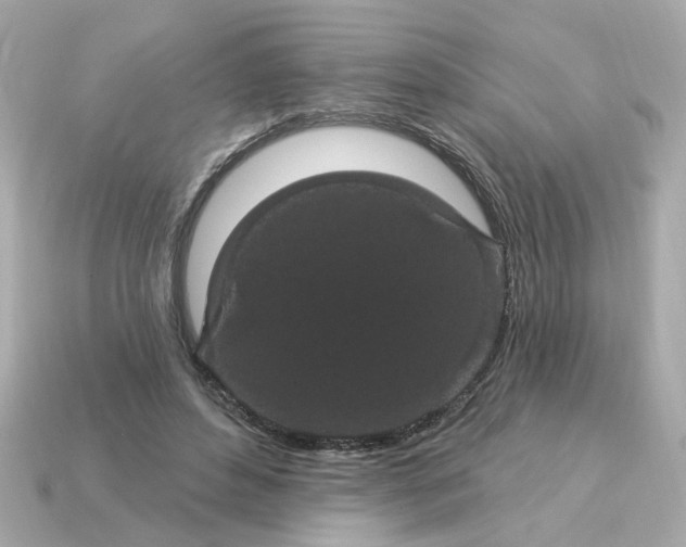 X0000115160496200911101753