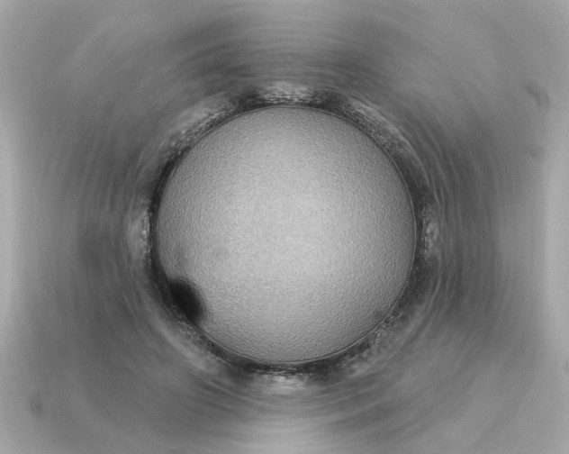 X0000115160498200911101753