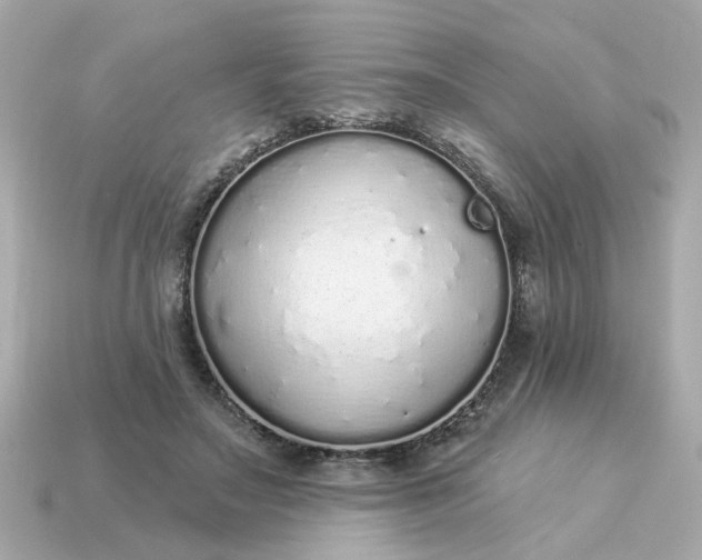 X0000115160499200911101753