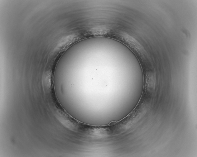 X0000115160501200911101753