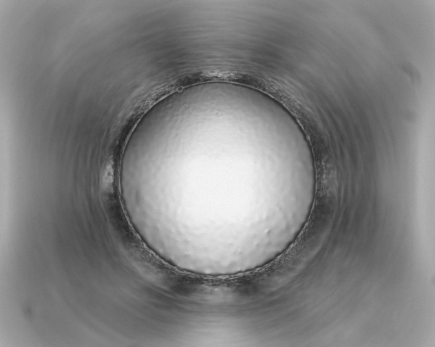 X0000115160502200911101753