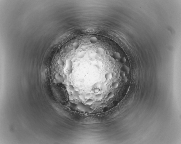 X0000115160503200911101753