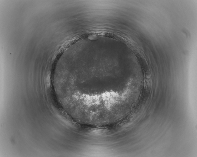 X0000115160504200911101753