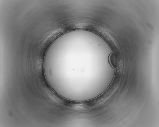 X0000115160505200911101753