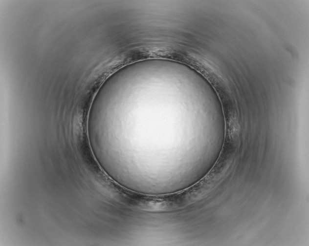 X0000115160506200911101753