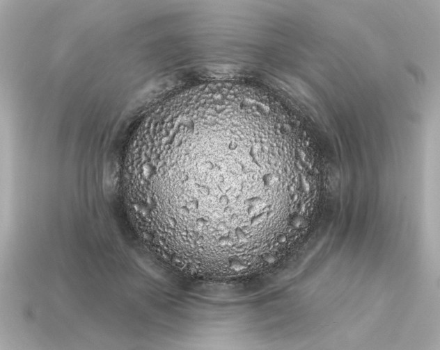 X0000115160507200911101753