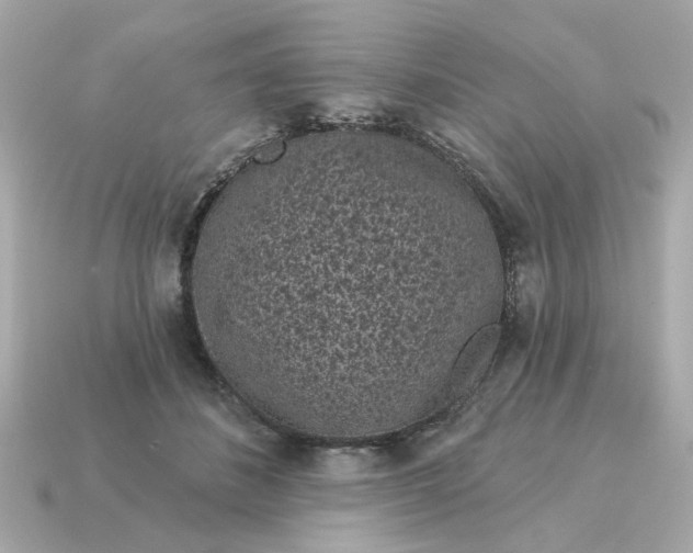 X0000115160508200911101753