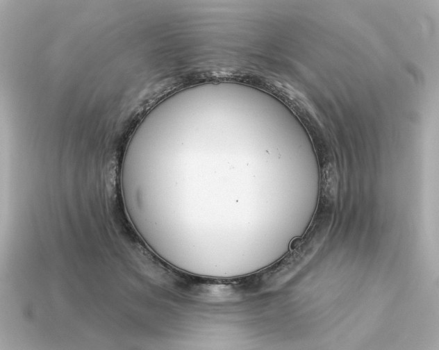 X0000115160509200911101753