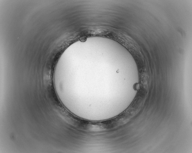 X0000115160510200911101753