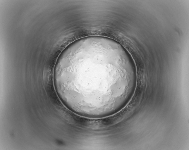 X0000115160511200911101753