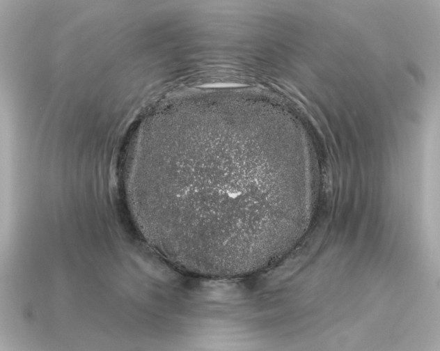 X0000115160516200911101753