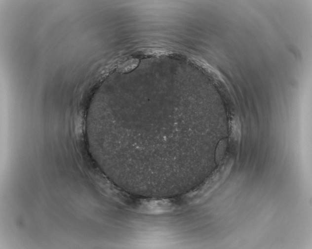 X0000115160517200911101753