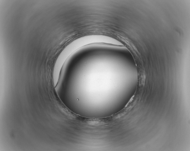 X0000115160521200911101753