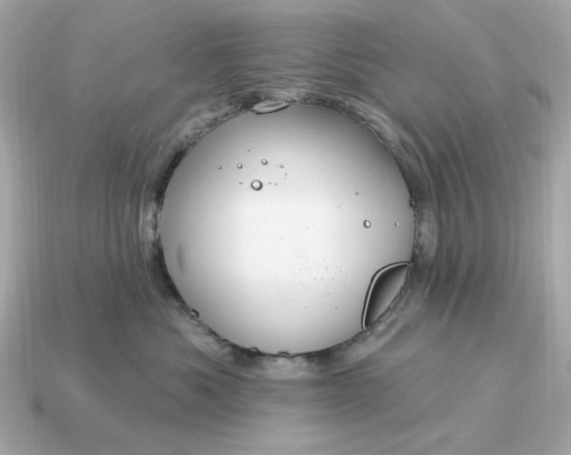 X0000115160525200911101753