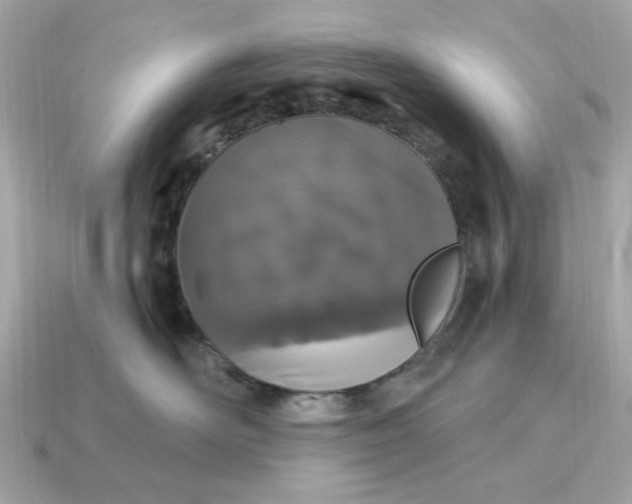 X0000115160526200911101753
