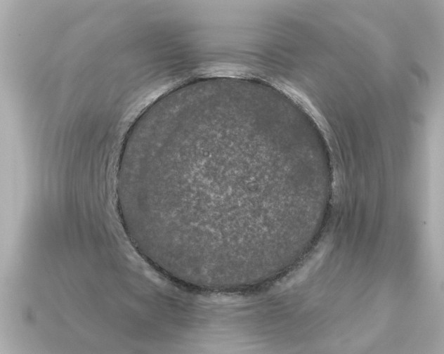 X0000115160529200911101752