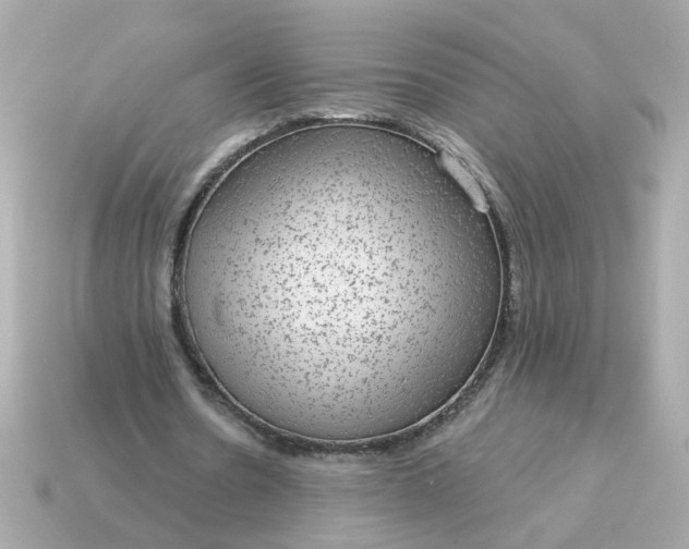 X0000115160530200911101752