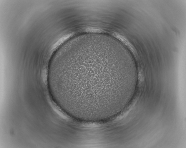 X0000115160533200911101752