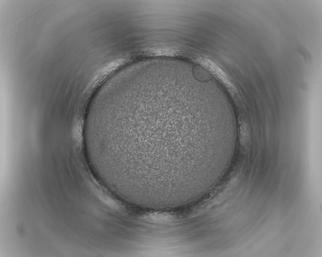 X0000115160537200911101752
