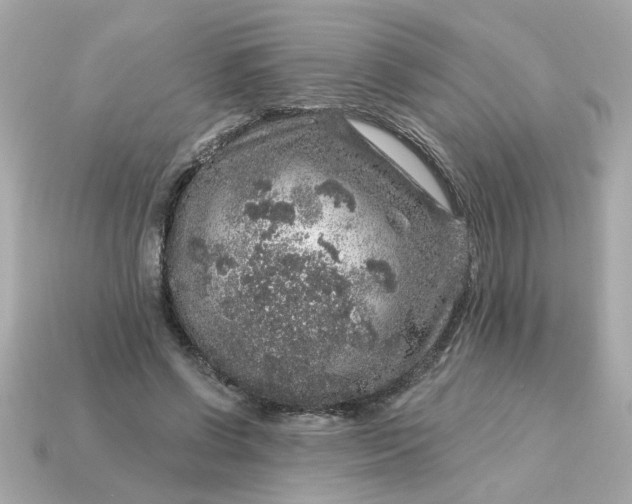 X0000115160542200911101752