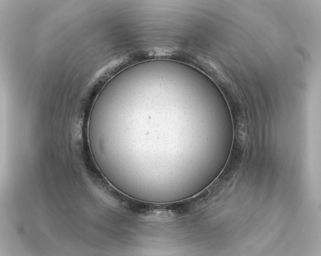 X0000115160543200911101752