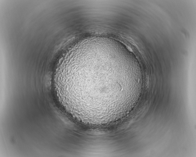 X0000115160545200911101752