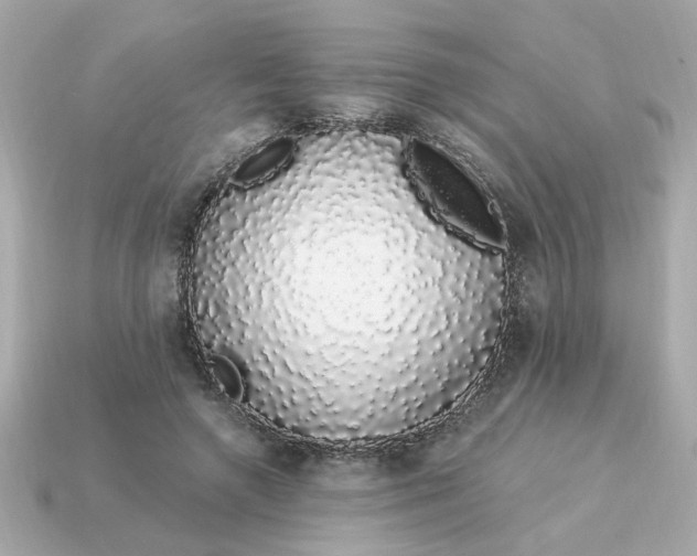 X0000115160546200911101752