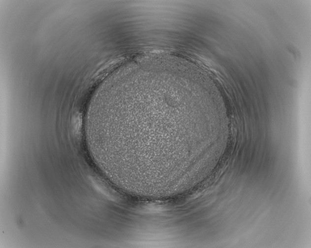 X0000115160550200911101752