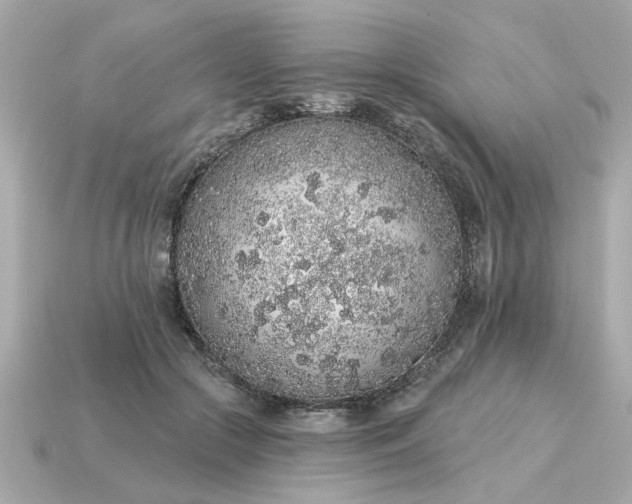 X0000115160553200911101752