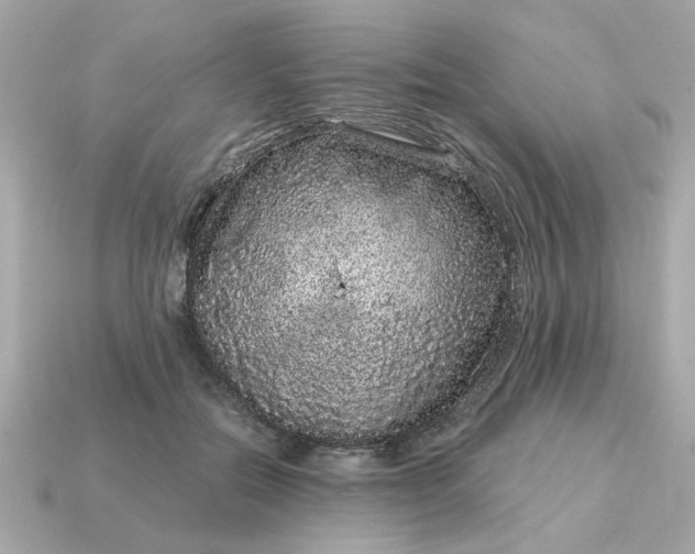 X0000115160554200911101752