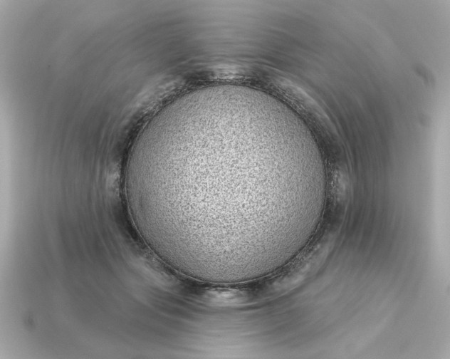 X0000115160557200911101752