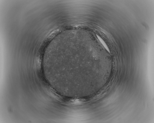 X0000115160558200911101752