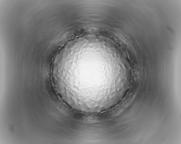 X0000115160561200911101752