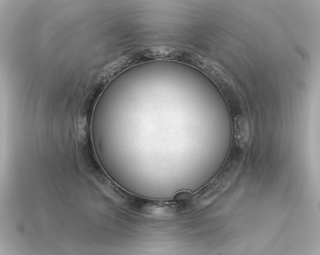 X0000115160563200911101752