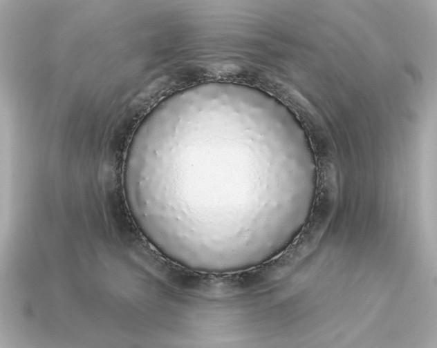 X0000115160565200911101753