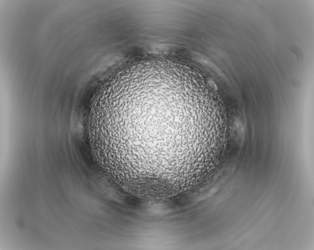 X0000115160566200911101753