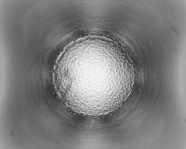 X0000115160569200911101753