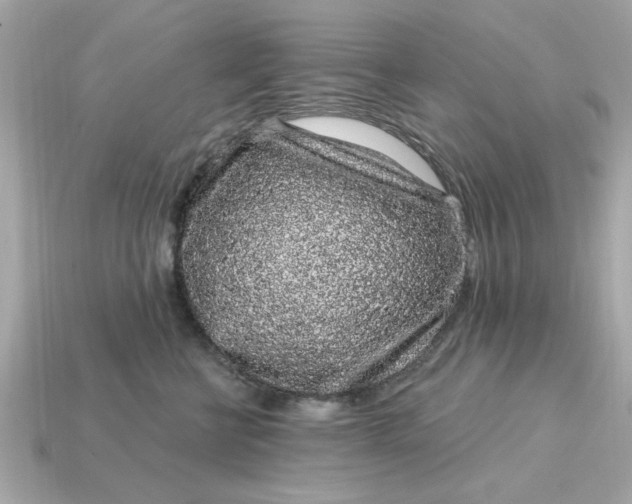 X0000115160570200911101753