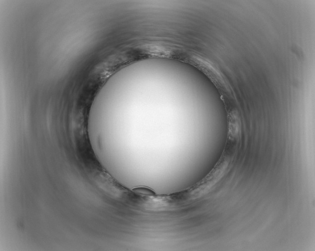 X0000115160573200911101753