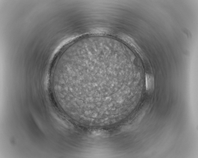 X0000115160579200911101752