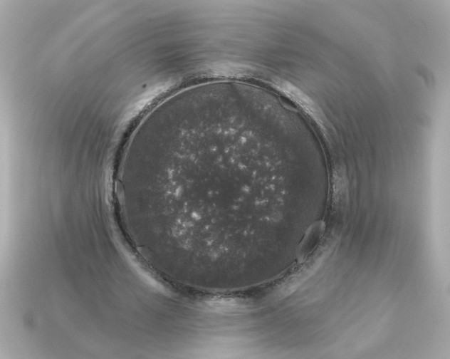 X0000115160581200911101752