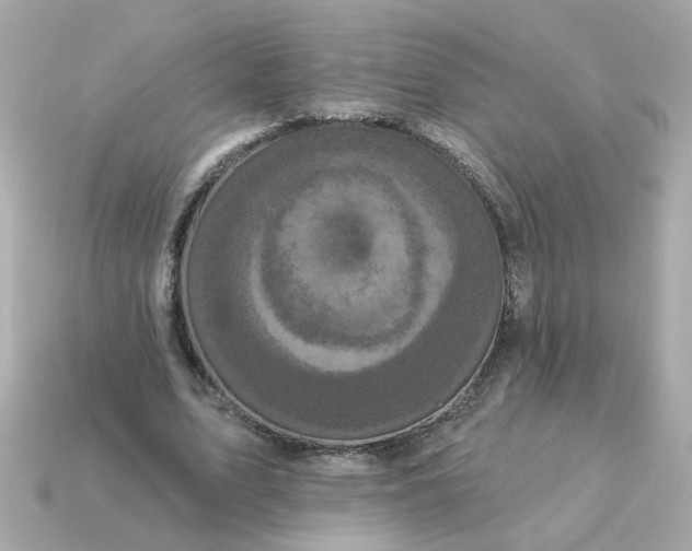 X0000115160583200911101752
