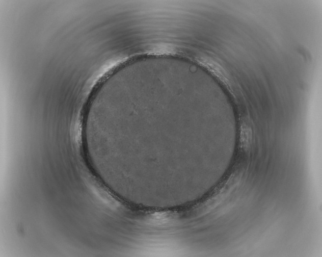 X0000115160584200911101752