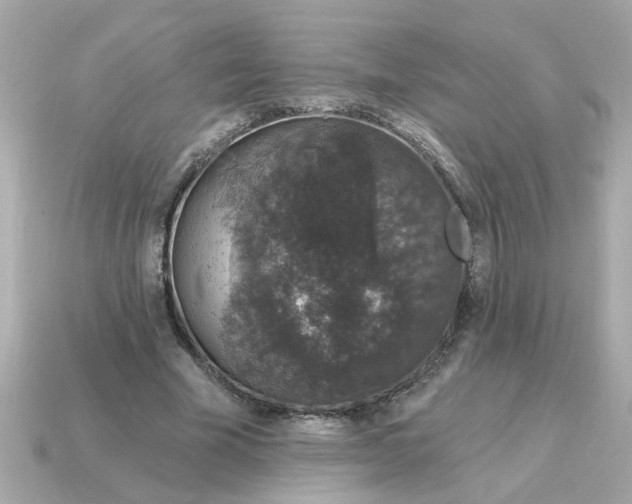 X0000115160585200911101752