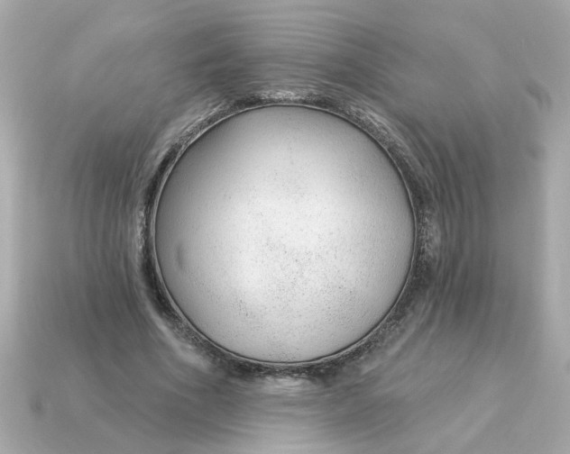 X0000115160586200911101752