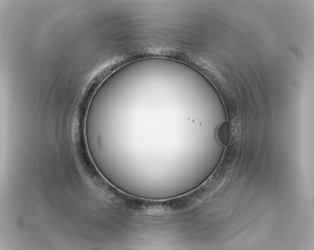 X0000115160587200911101752